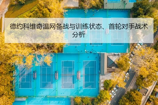 de-yue-ke-wei-qi-wen-wang-bei-zhan-yu-xun-lian-zhuang-tai-shou-lun-dui-shou-zhan-shu-fen-xi-2-610.jpg